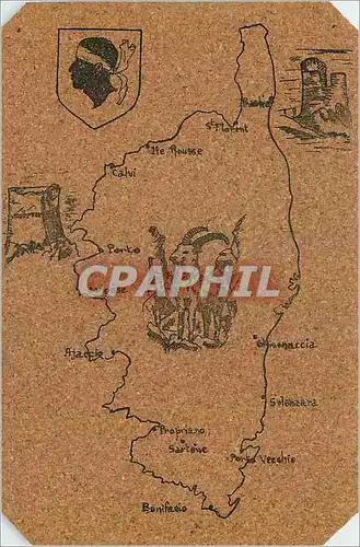 Ansichtskarte AK Carte en cuir Corse Chevre