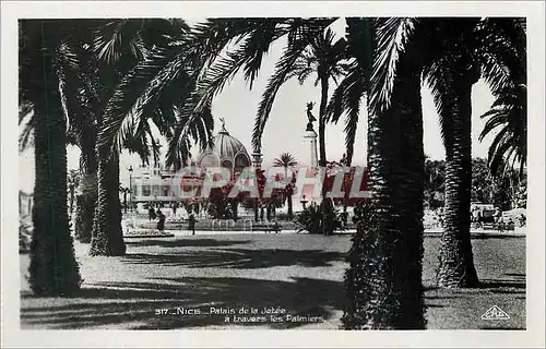 Cartes postales Nice Palais de la Jetee a travers les Palmiers