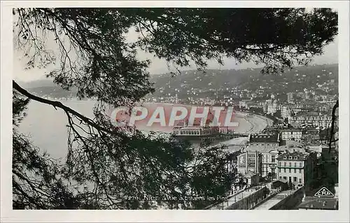 Cartes postales Nice Vue a travers les Pins