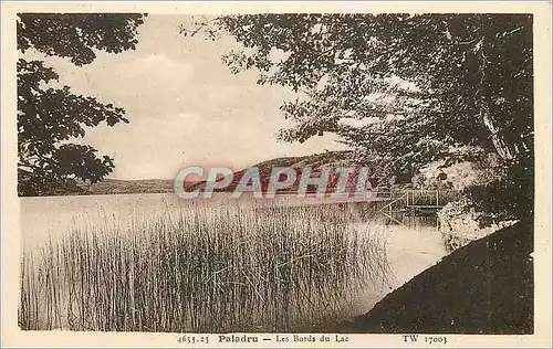 Cartes postales Paladru Les Bords du Lac