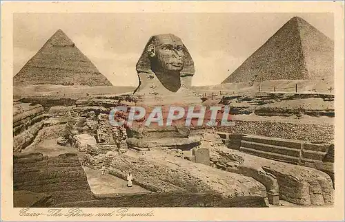 Ansichtskarte AK Cairo The Sphinx and Pyramids