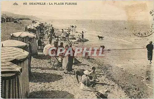 Cartes postales Deauville La Plage Fleurie