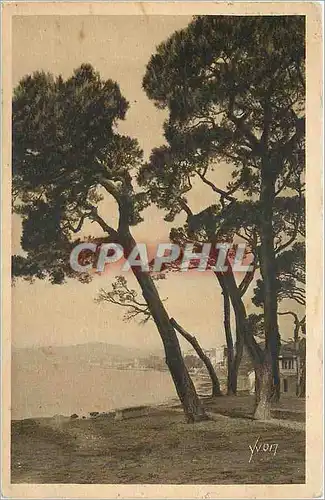 Cartes postales Juan les Pins