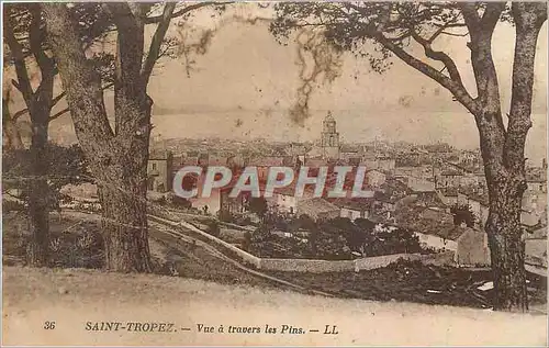 Cartes postales Saint Tropez Vue a travers les Pins