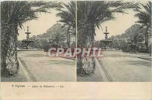 Cartes postales Hyeres Allee de Palmiers