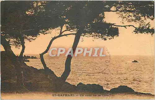 Cartes postales St Raphael Un coin de la Cote