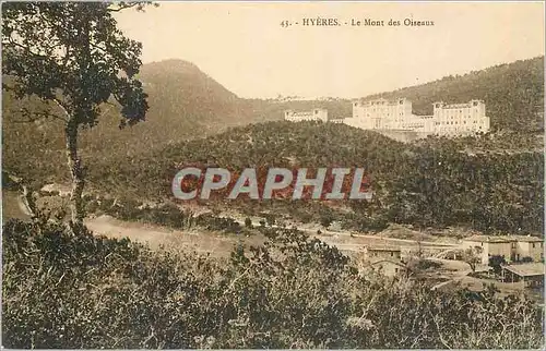 Cartes postales Hyeres Le Mont des Oiseaux