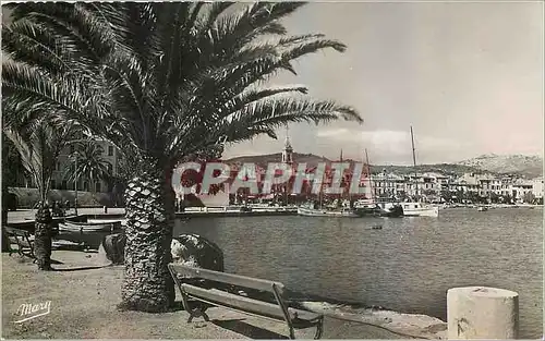 Cartes postales moderne Sanary sur Mer et Var Le Port Bateaux
