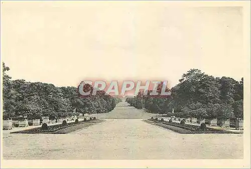 Cartes postales Chateau de Compiegne Avenue des Beaux Monts