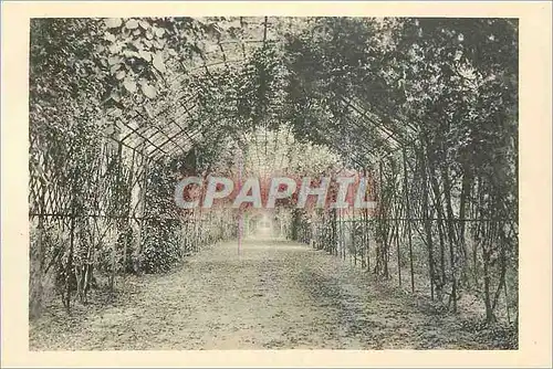 Ansichtskarte AK Chateau de Compiegne Le Berceau de Marie Louise