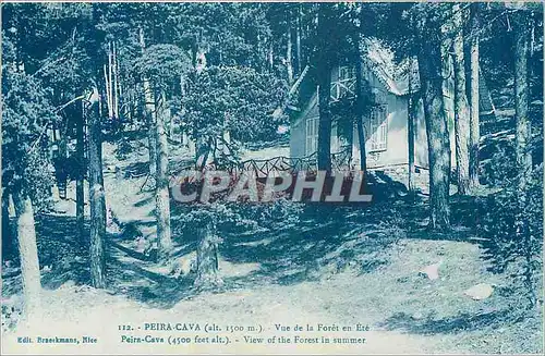 Cartes postales Peira Cava Vue de la Foret en Ete Peira Cava