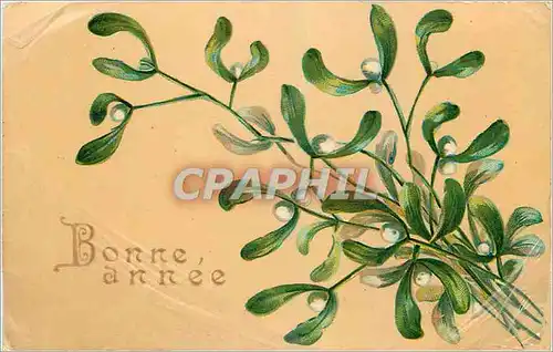 Cartes postales Bonne Annee