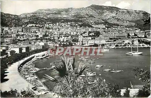 Cartes postales moderne Le Port Vue vers Monte Carlo