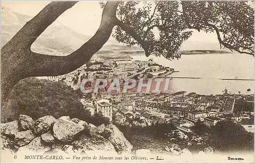 Cartes postales Monte Carlo Vue prise de Monaco sous les Oliviers