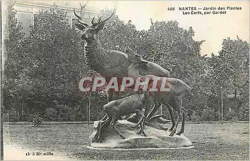 Ansichtskarte AK Nantes Jardin des Plantes Les Cerfs par Gardet