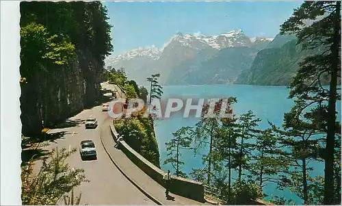 Cartes postales moderne Axenstrasse am Vierwaldstattersee mit Gitschen und Urirotstock