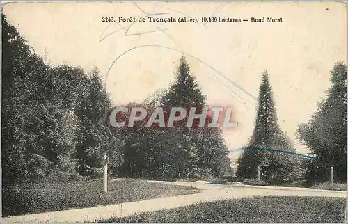 Cartes postales Foret de Troncais Allier Rond Morat