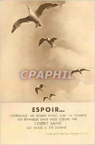 Image Espoir L'Eperance ne Trompe Point