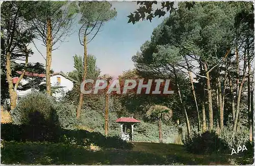 Cartes postales moderne Lamalou les Bains Herault Un Joli Coin du Parc de l'Usclade