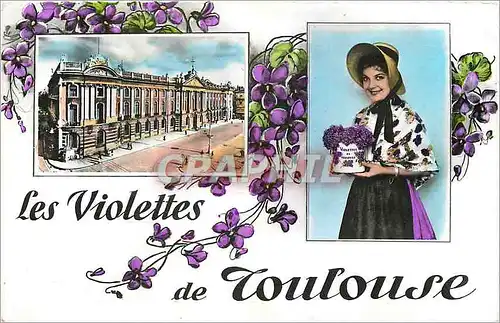 Cartes postales moderne Les Violettes de Toulouse