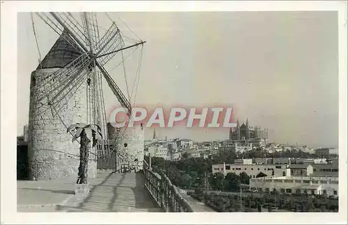 Cartes postales Paseo Maritimo Palma de Mallorca Moulin a vent