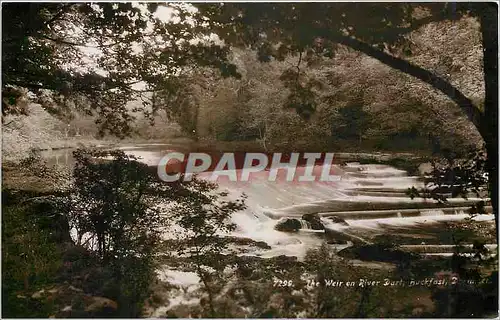 Cartes postales moderne Buckfast