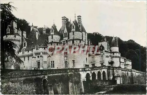 Moderne Karte Les Chateaux de la Loire Chateau de Rigny Usse