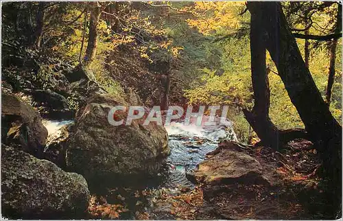 Moderne Karte Brink of Lewis Falls Shenandoah National Park Virginia