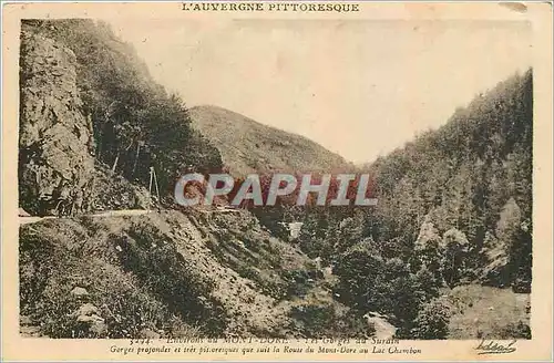 Cartes postales Environs du Mont Dore Les Gorges au Surain