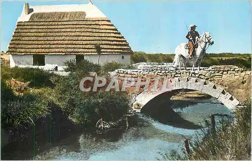 Cartes postales moderne En Camargue B de Rh Un pont et Camargue Cheval