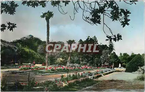 Cartes postales moderne Rochefort sur Mer Jardin Municipal