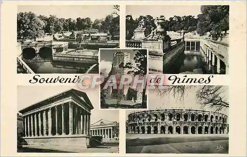 Cartes postales moderne Souvenir de Nimes