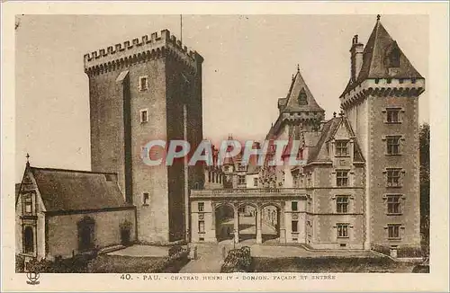 Cartes postales Pau Chateau Henri IV Donjon Facade et Entree
