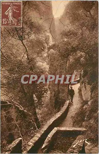 Ansichtskarte AK Amelie les Bains PO Dans les Gorges du Mondony