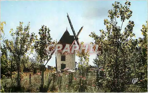 Cartes postales moderne En Vendee Au pays de Monts Le Vieux Moulin