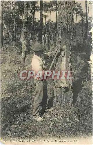 Cartes postales Scenes et Types Landais Un Resinier