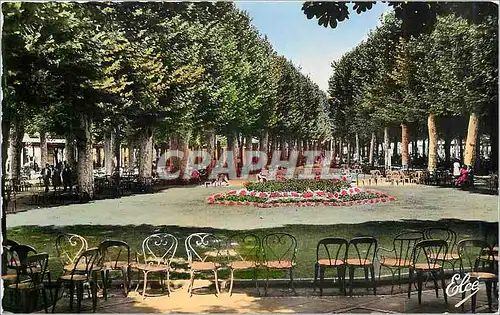 Cartes postales moderne Vichy Allier Les Allees ombragees dans le Parc des Sources