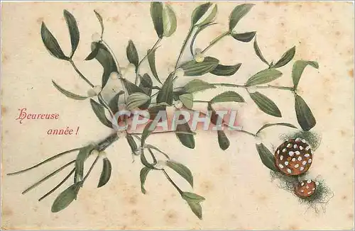 Cartes postales Heureuse Annee fleurs