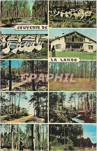 Moderne Karte Souvenir de la Lande