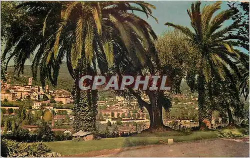 Cartes postales moderne Cote d'Azur Grasse et sa vegetation exotique Vue generale