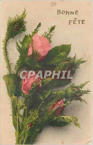 Cartes postales Bonne Fete Fleurs