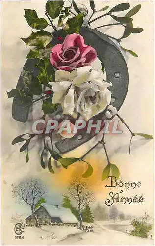Cartes postales Bonne Annee Fleurs Fer a cheval