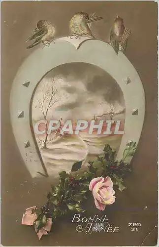 Cartes postales Bonne Annee Fer a cheval
