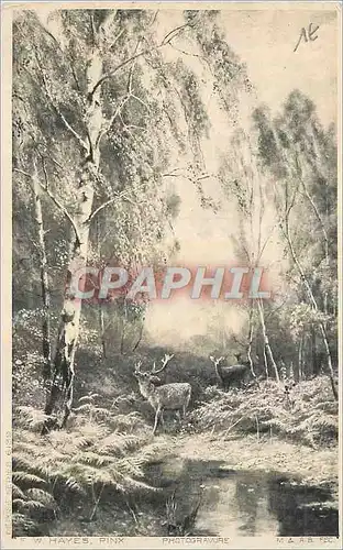 Ansichtskarte AK Biche