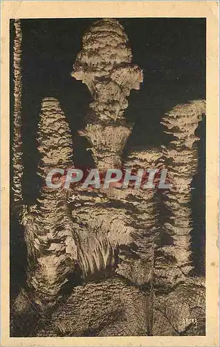 Cartes postales Aven Armand Le Choux Fleurs