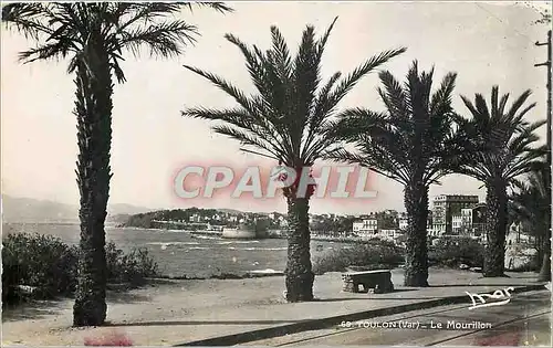 Cartes postales moderne Toulon Var Le Mourillon