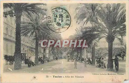 Ansichtskarte AK Toulon Allee des Palmiers