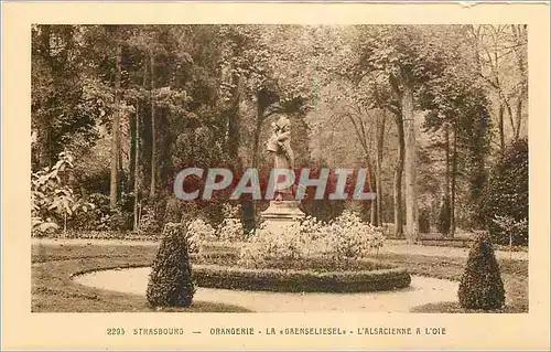 Cartes postales Strasbourg Orangerie La Grenseliesel L'Alsacienne A L'Oie