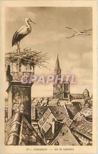 Cartes postales Strasbourg Nid de Cigognes