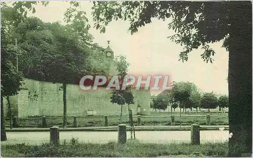 Cartes postales Enceinte du Chateau primitif de Surgeries